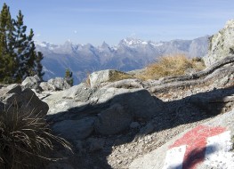 summer_walking_trail_nendaz