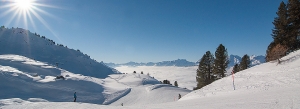winter woderland