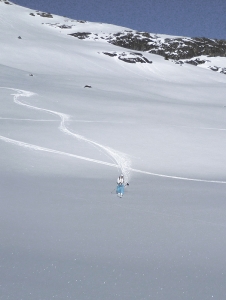 powder skier