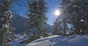 winter shine